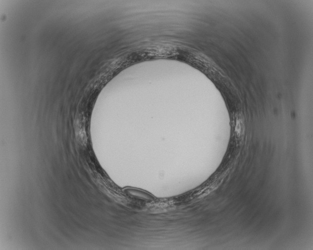 X0000079320771200612151816