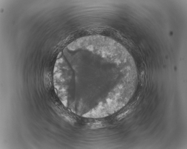 X0000079320772200612151816