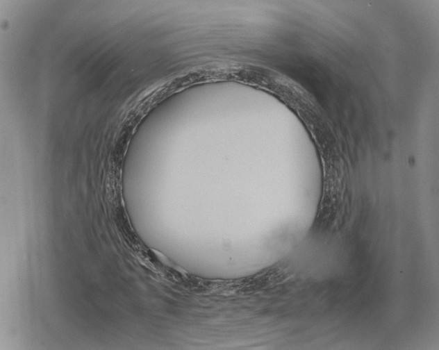 X0000079320773200612151816