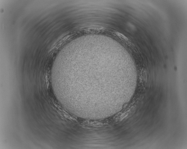 X0000079320774200612151816