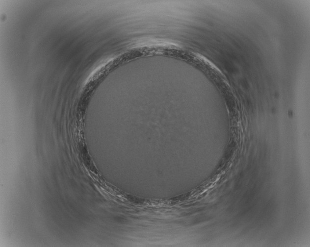 X0000079320775200612151816