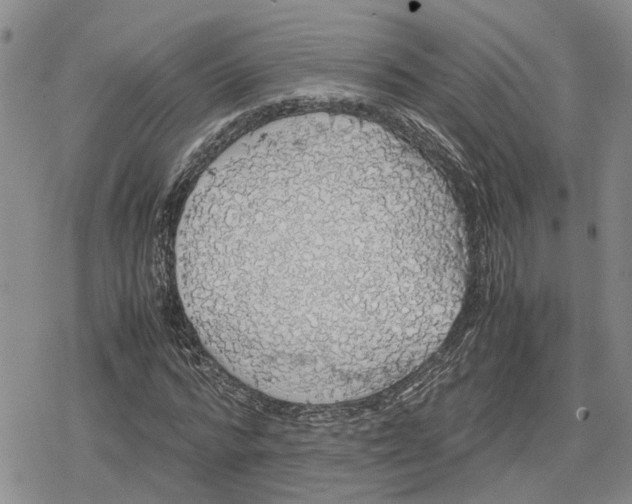 X0000079320776200612151816