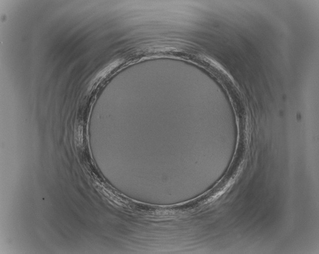 X0000079320777200612151816