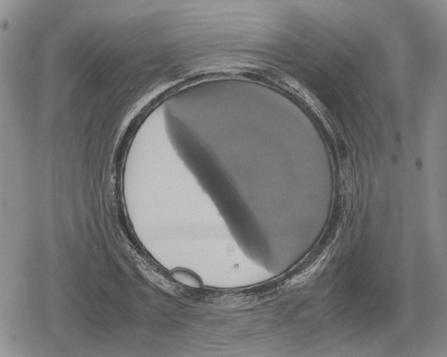 X0000079320779200612151816