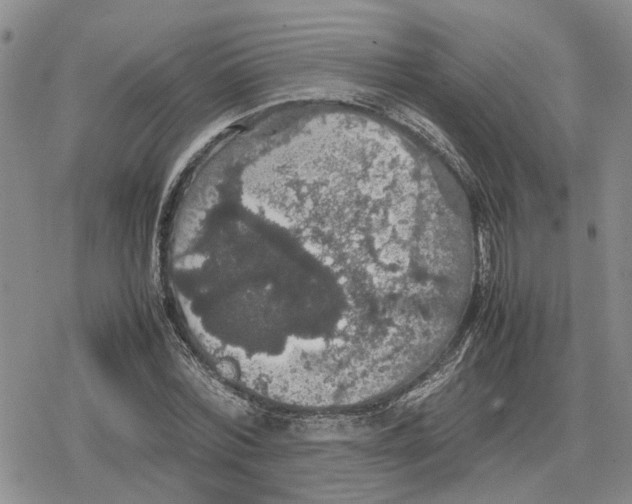 X0000079320780200612151816