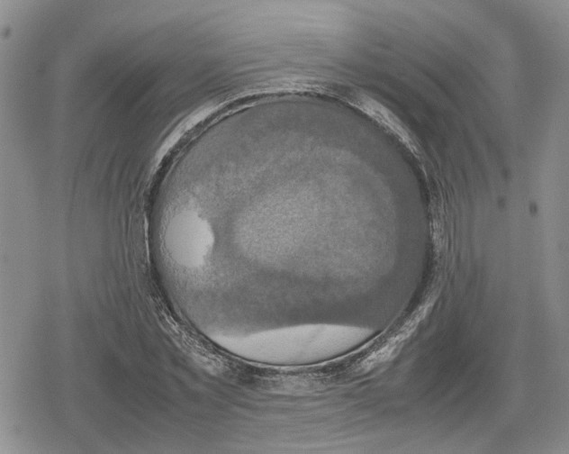 X0000079320781200612151816