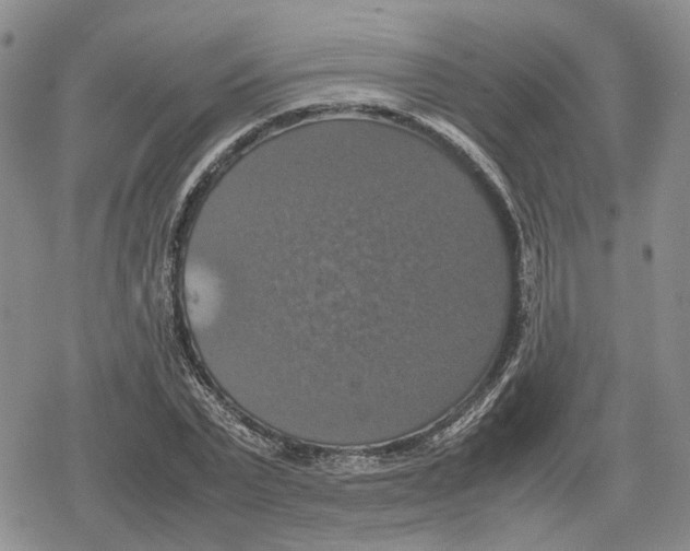 X0000079320783200612151816