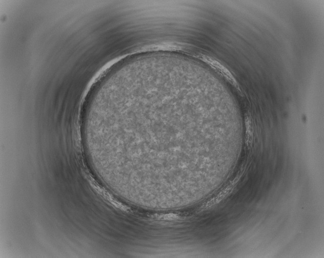 X0000079320784200612151816