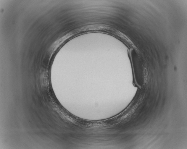 X0000079320786200612151816