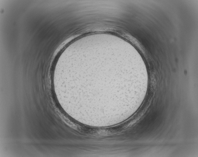 X0000079320787200612151816