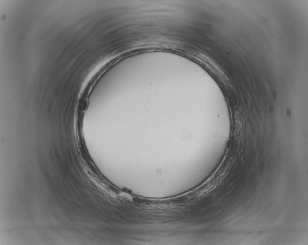 X0000079320788200612151816