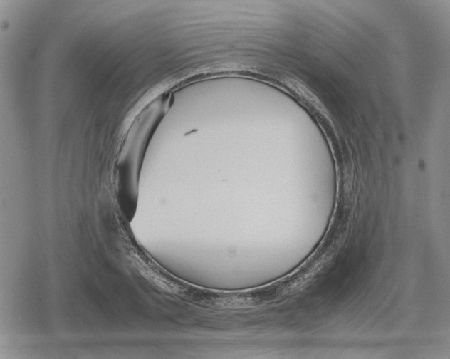 X0000079320789200612151816