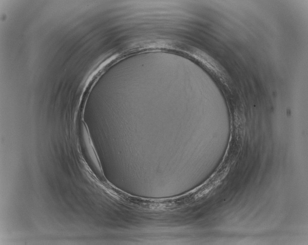 X0000079320790200612151816