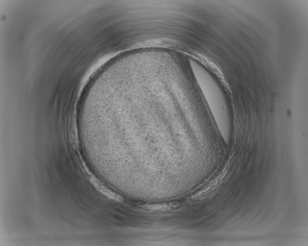 X0000079320792200612151816