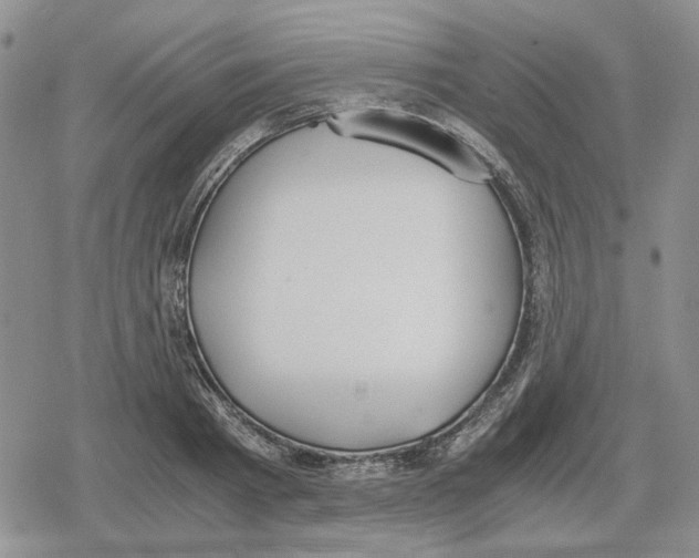 X0000079320793200612151816