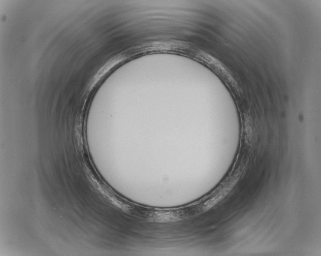 X0000079320794200612151816