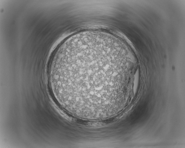 X0000079320795200612151816