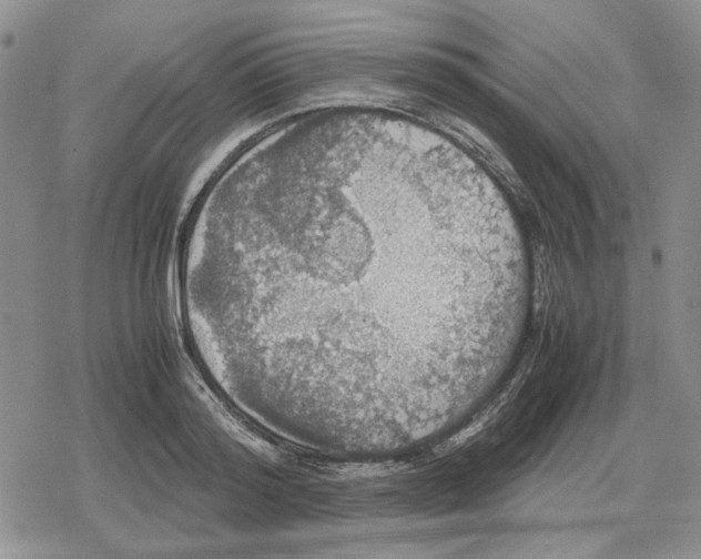 X0000079320796200612151816