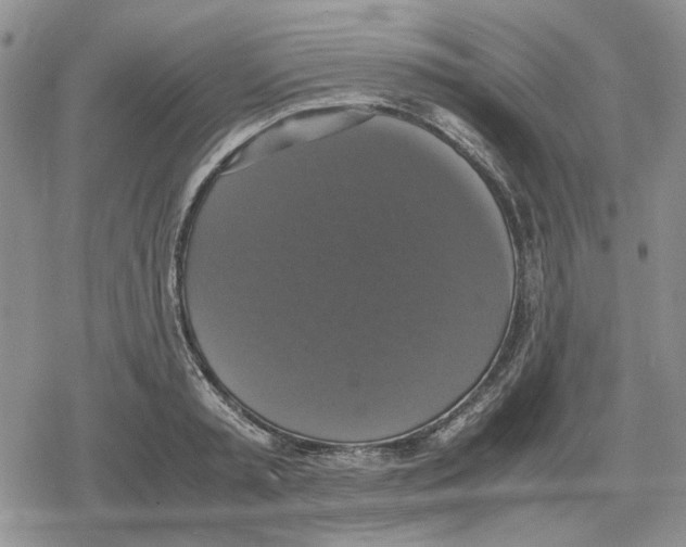 X0000079320797200612151816