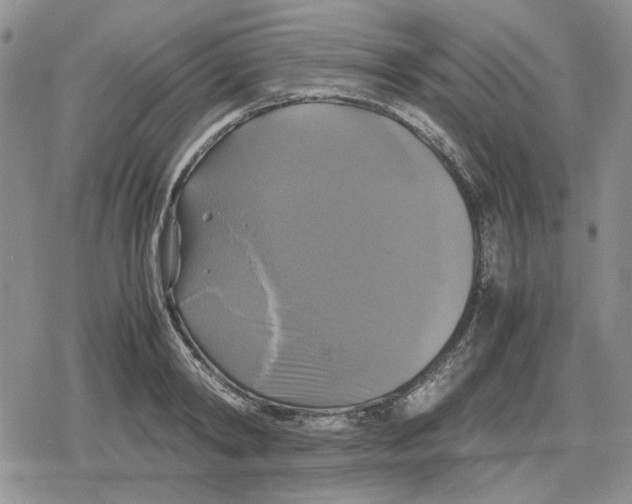 X0000079320798200612151816