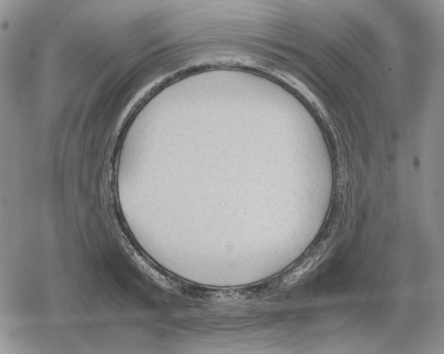 X0000079320799200612151816