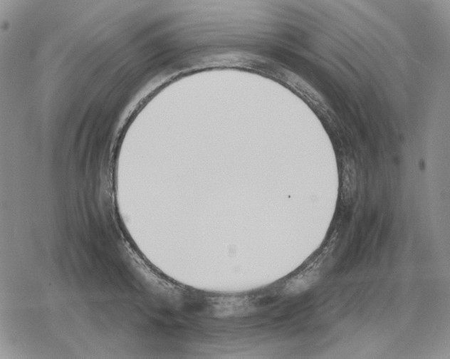 X0000079320800200612151816