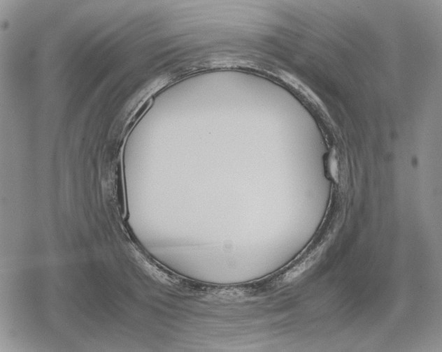 X0000079320801200612151816