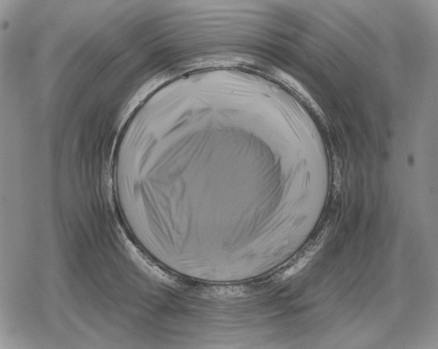 X0000079320802200612151816