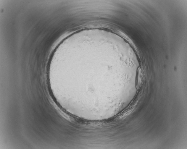 X0000079320803200612151816