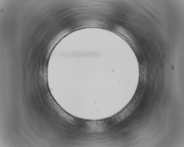 X0000079320804200612151816