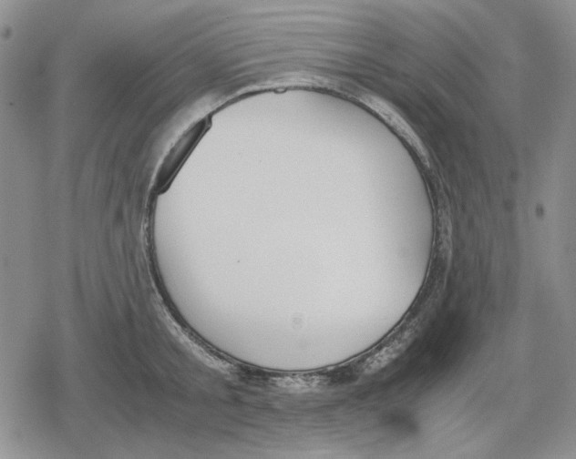 X0000079320805200612151816