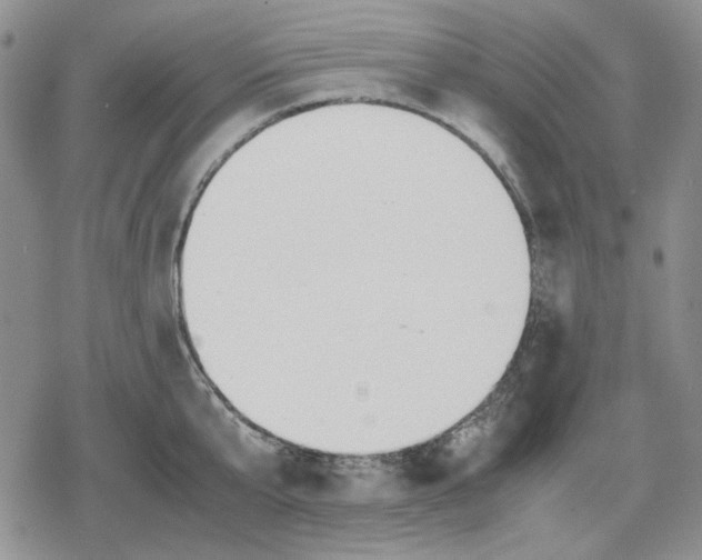 X0000079320807200612151816