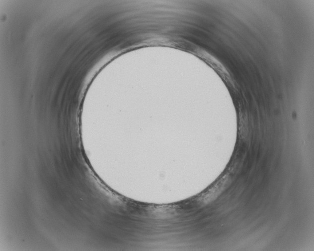 X0000079320808200612151816