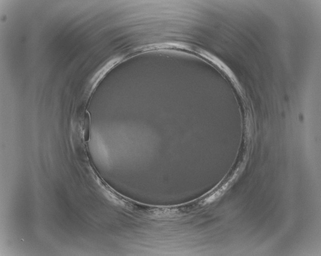 X0000079320809200612151816