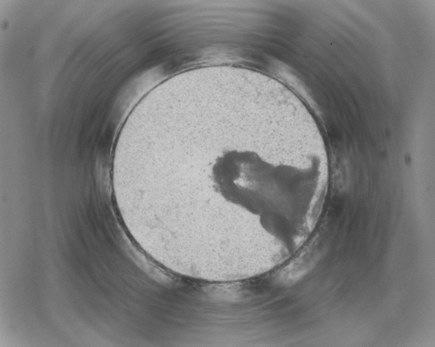 X0000079320810200612151816