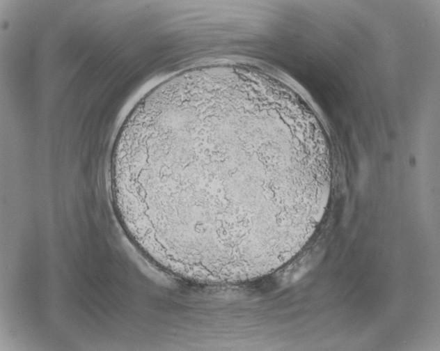 X0000079320811200612151816