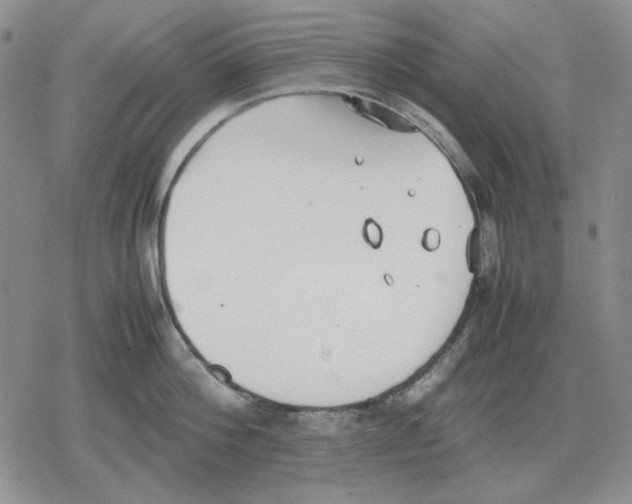 X0000079320812200612151816