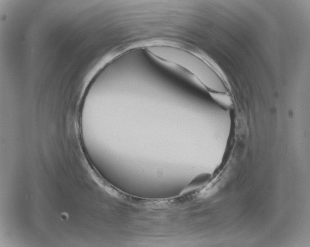 X0000079320813200612151816