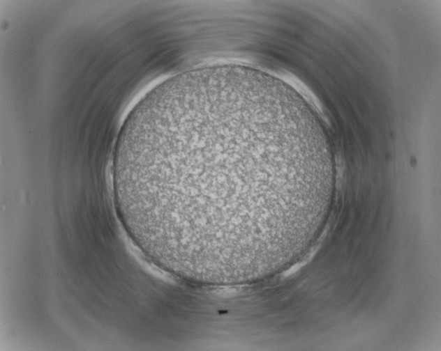 X0000079320814200612151815