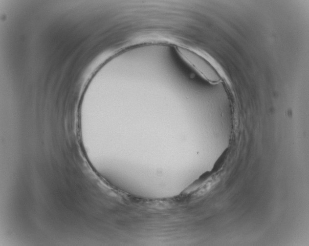 X0000079320815200612151815