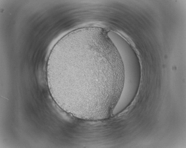 X0000079320816200612151815