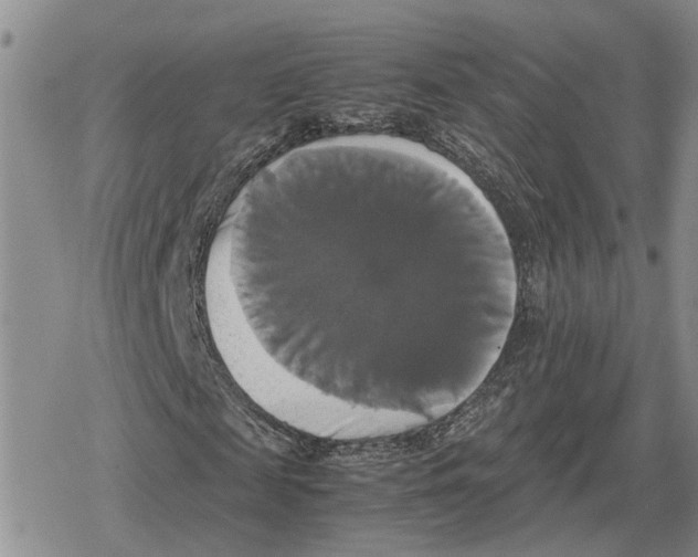 X0000079320817200612151815