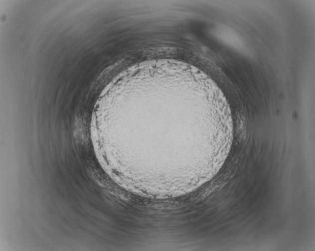 X0000079320819200612151815