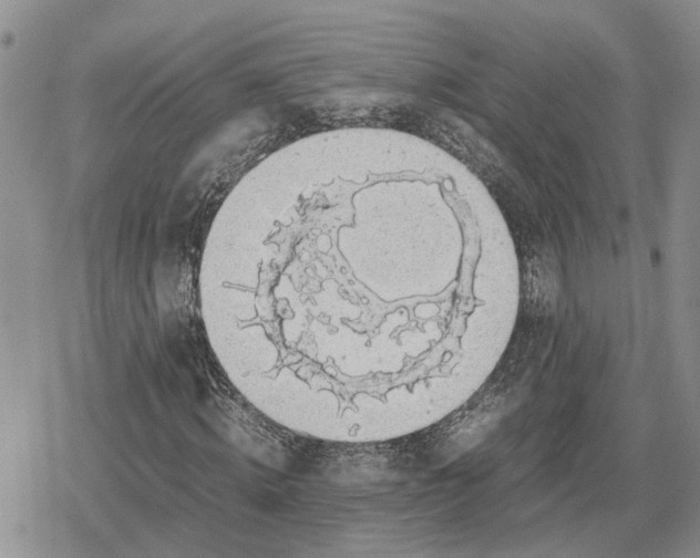 X0000079320820200612151815