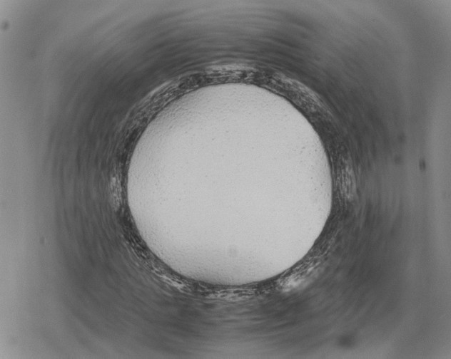 X0000079320821200612151815