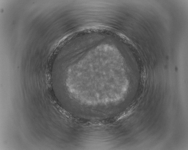 X0000079320822200612151815