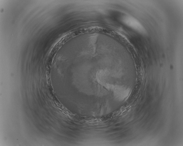 X0000079320823200612151815