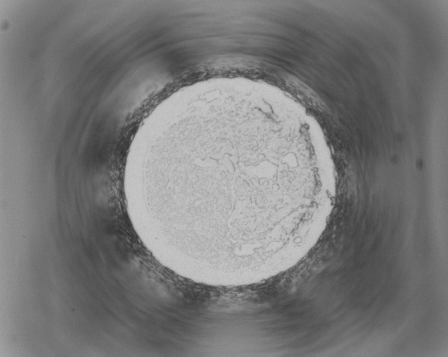 X0000079320824200612151815