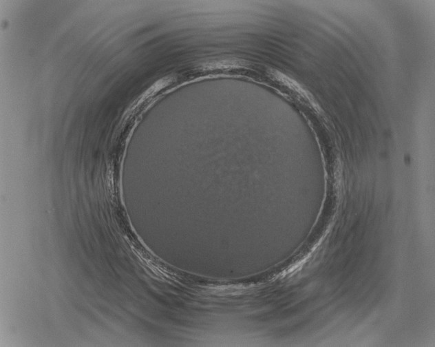 X0000079320825200612151815