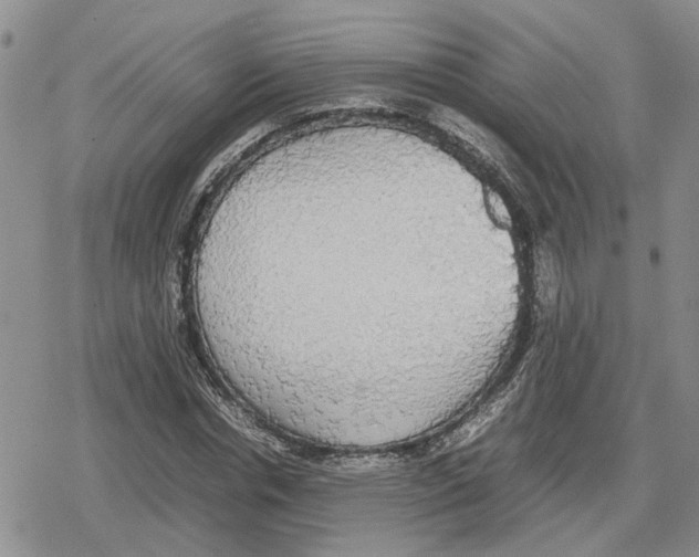 X0000079320826200612151815